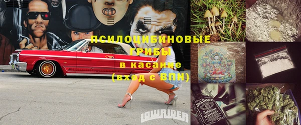 круглые Осинники