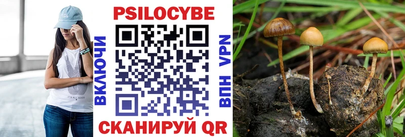 Галлюциногенные грибы ЛСД  Шарья 