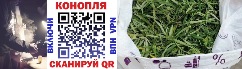 Канабис планчик блэк спрут ссылки Шарья